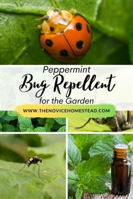 can i spray peppermint oil on plants can peppermint oil be used as a natural insect repellent?